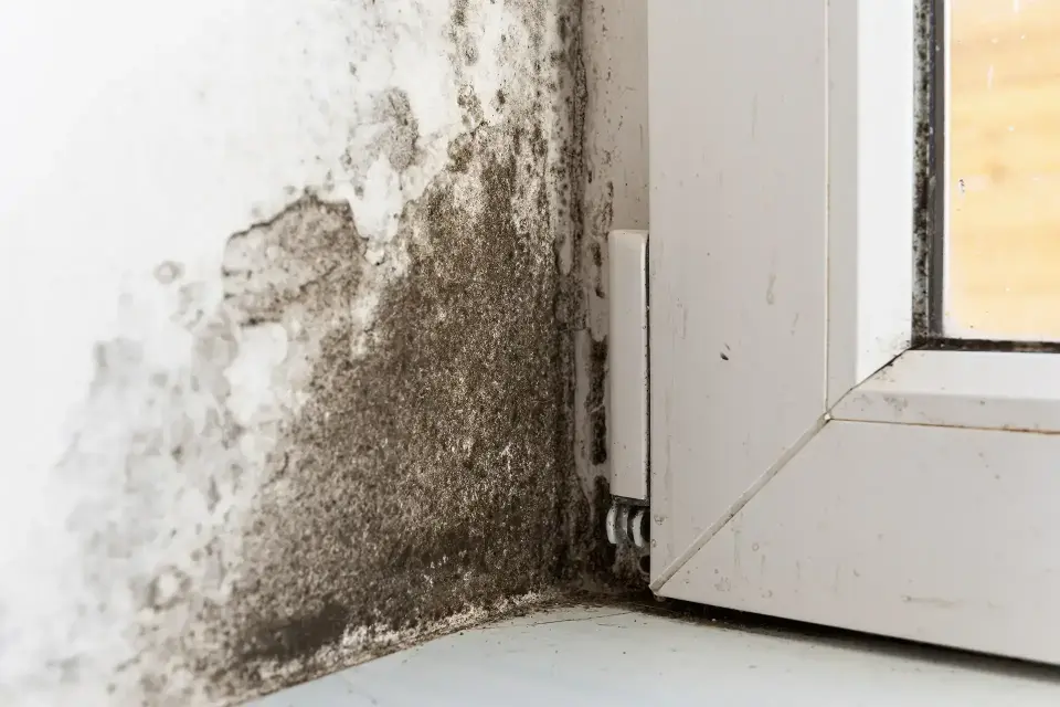 Water Damage in Castle Pines, CO